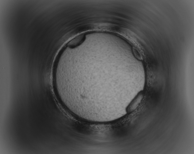 X0000095670896200801291134