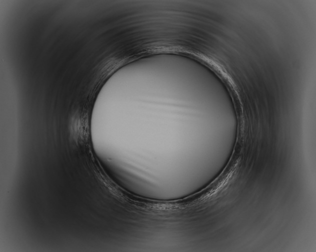 X0000095670897200801291134