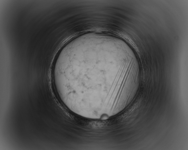 X0000095670898200801291134