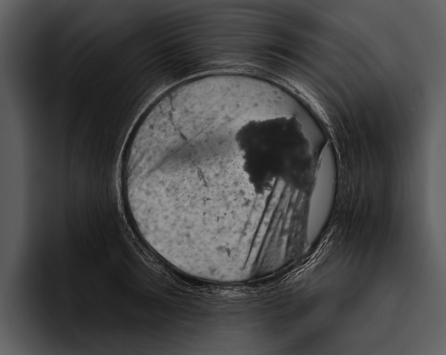 X0000095670899200801291134