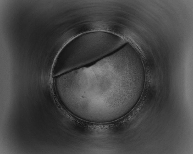 X0000095670900200801291134