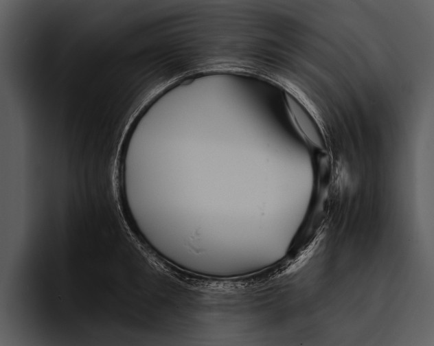 X0000095670901200801291134