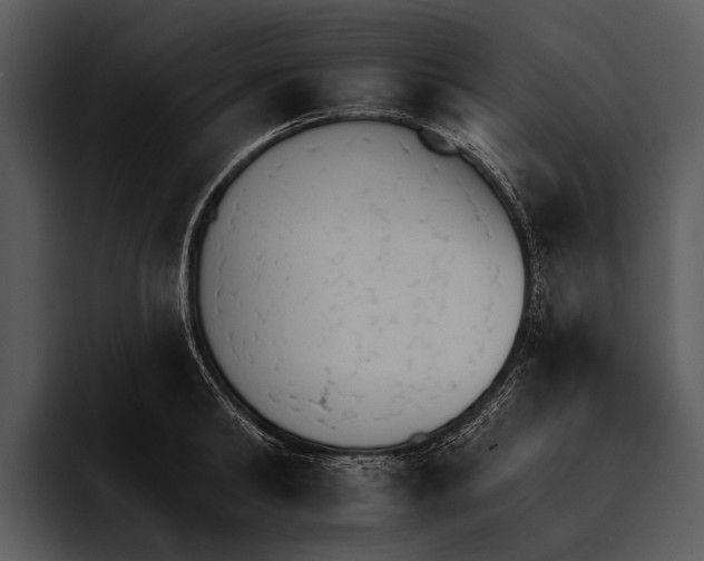 X0000095670902200801291134