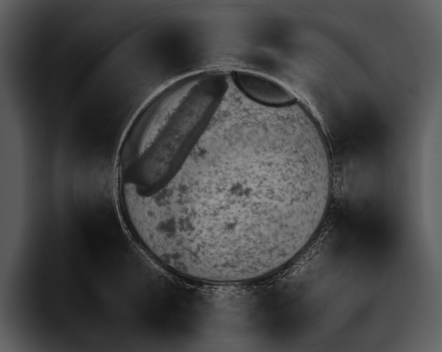 X0000095670903200801291134