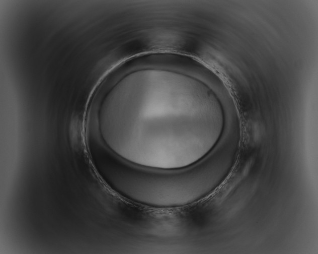 X0000095670904200801291134