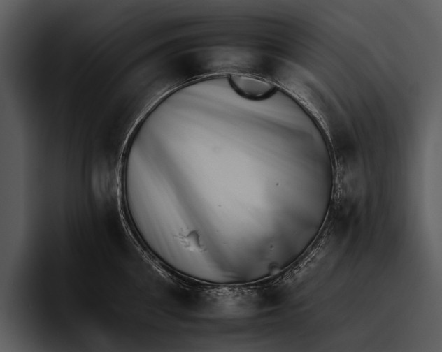 X0000095670906200801291134