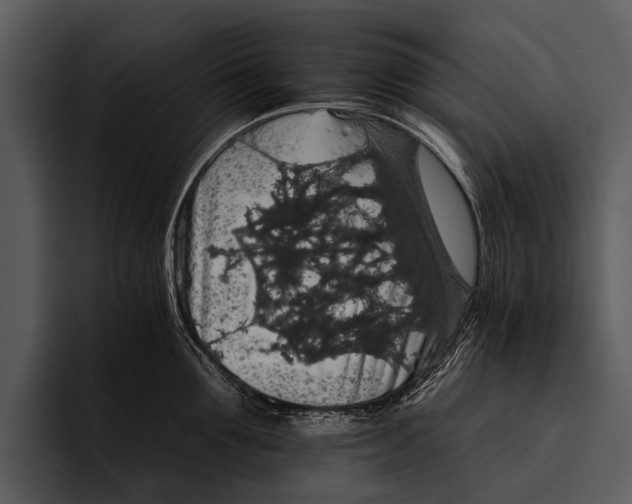 X0000095670907200801291134