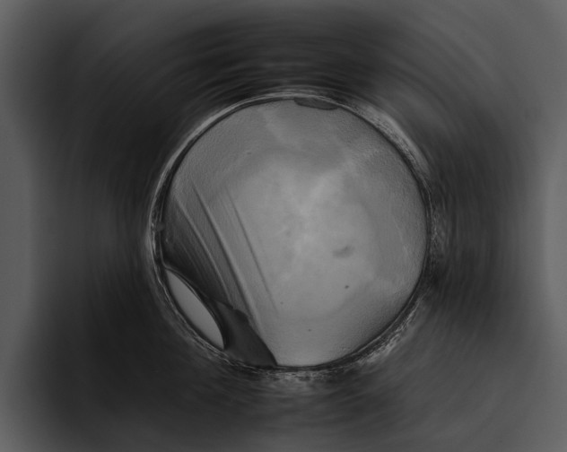 X0000095670908200801291134