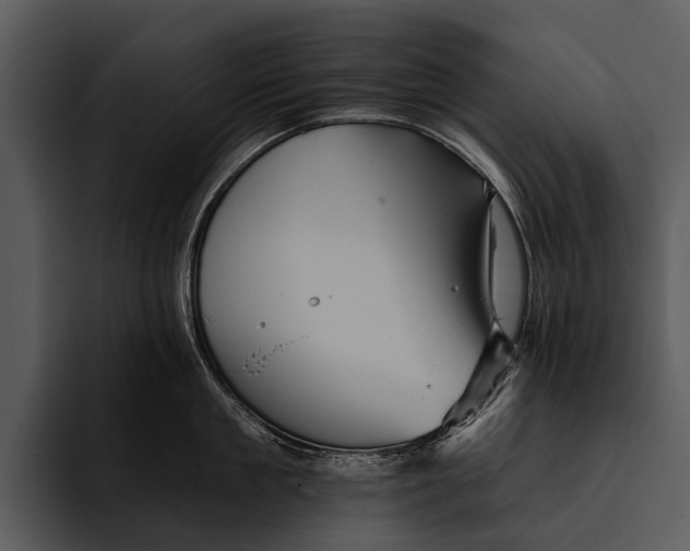 X0000095670909200801291134