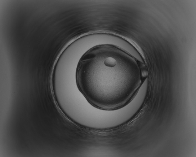 X0000095670911200801291134