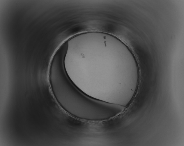 X0000095670912200801291134