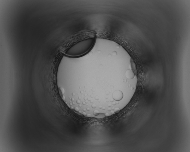 X0000095670913200801291133