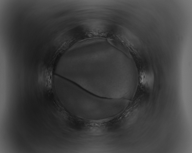 X0000095670915200801291133