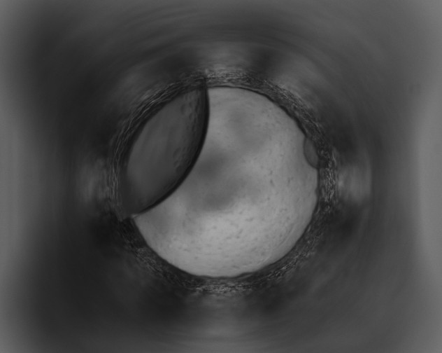 X0000095670917200801291134