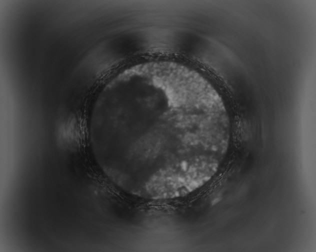 X0000095670918200801291134