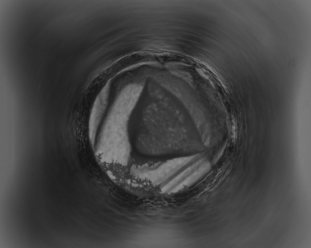 X0000095670919200801291134