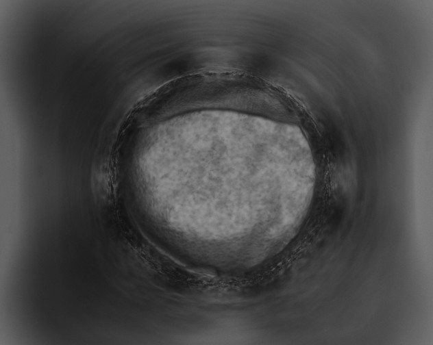 X0000095670920200801291134