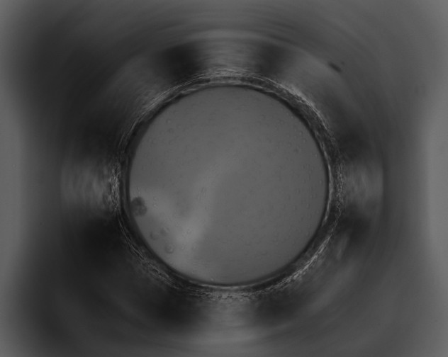 X0000095670921200801291134