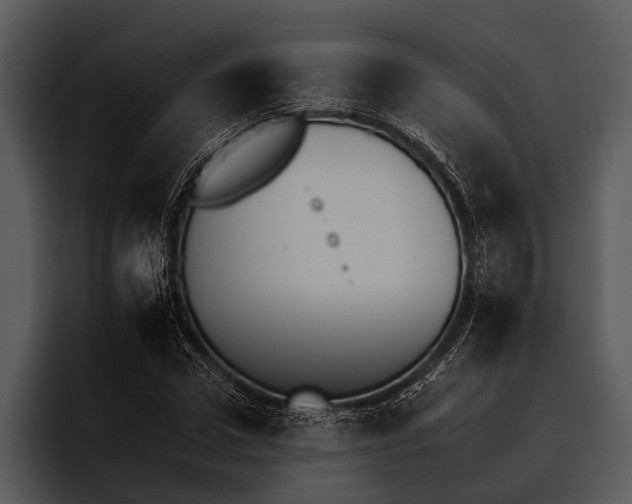 X0000095670922200801291134