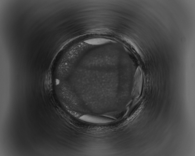 X0000095670923200801291134