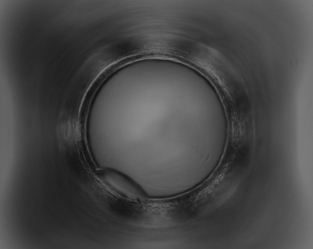 X0000095670924200801291134