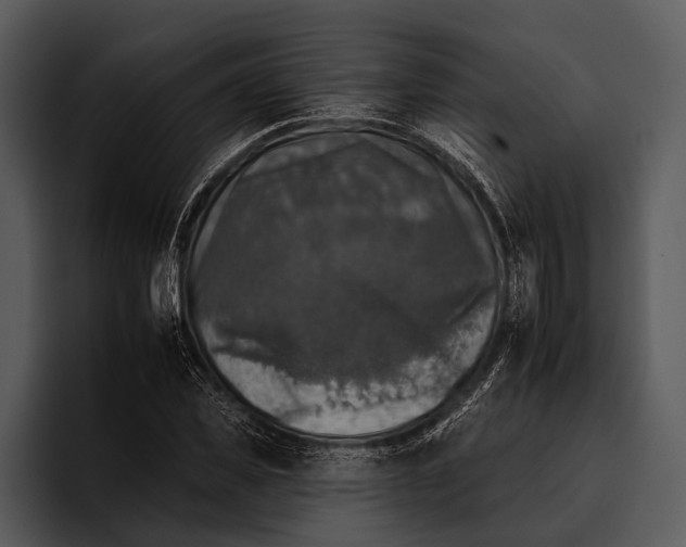 X0000095670925200801291134