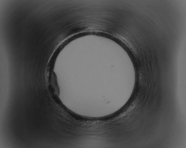 X0000095670926200801291134