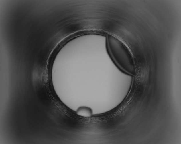 X0000095670927200801291134