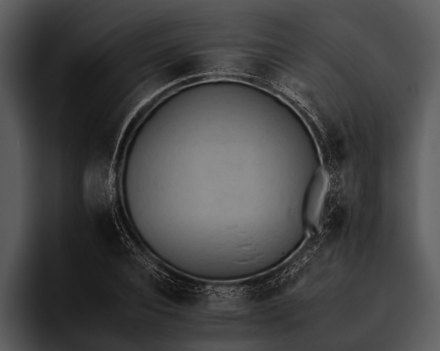 X0000095670928200801291134