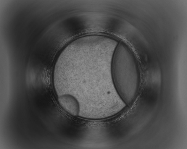 X0000095670929200801291134