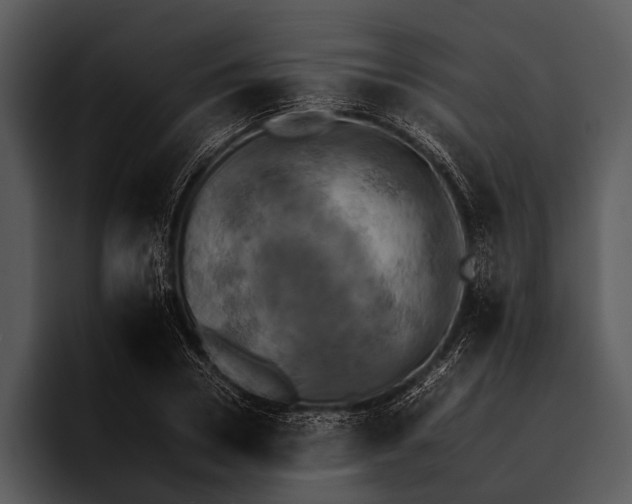 X0000095670930200801291134