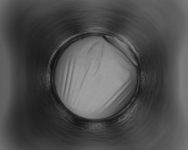 X0000095670931200801291134