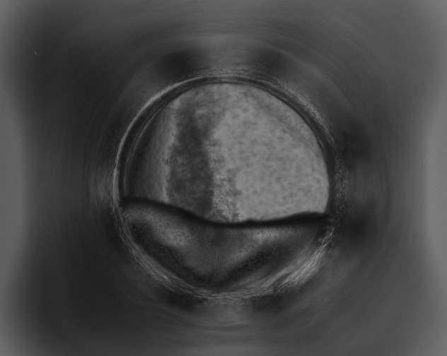 X0000095670932200801291134