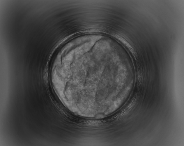 X0000095670933200801291134