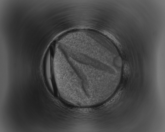 X0000095670934200801291134