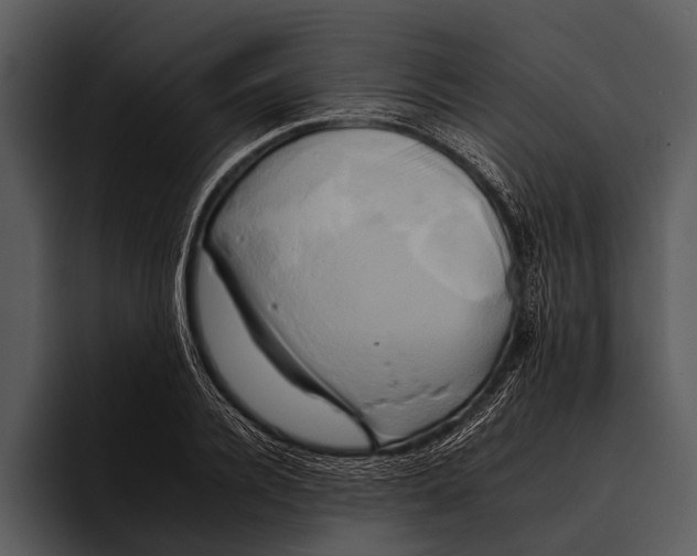 X0000095670936200801291134