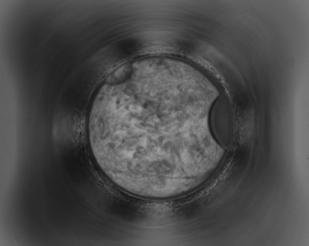 X0000095670937200801291134