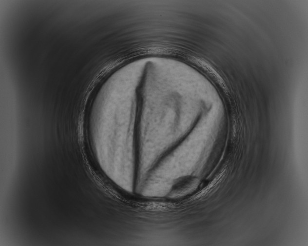 X0000095670938200801291134