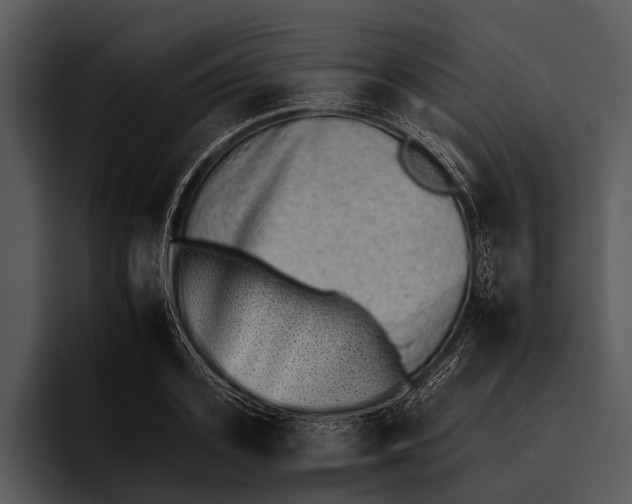 X0000095670939200801291134