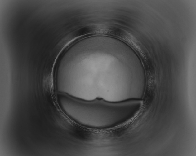 X0000095670940200801291134