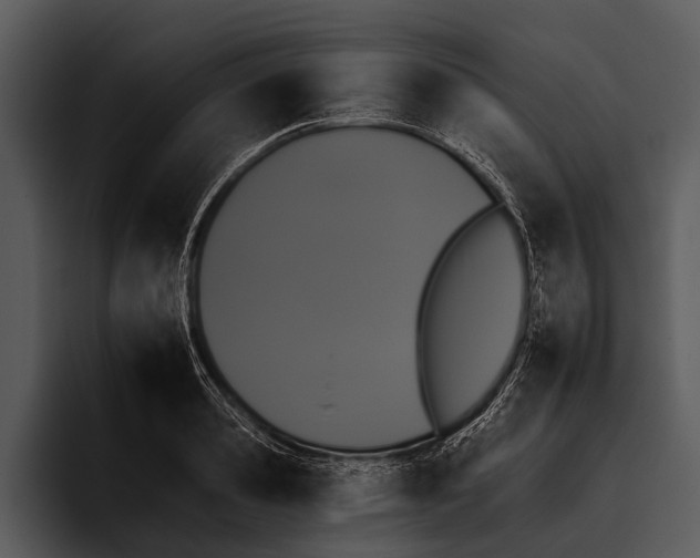 X0000095670941200801291134