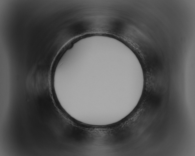 X0000095670942200801291134