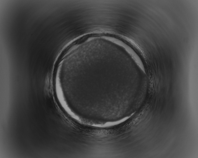 X0000095670943200801291134