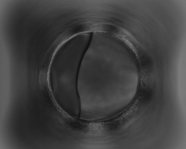 X0000095670944200801291134