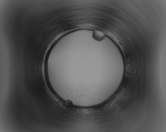 X0000095670947200801291134