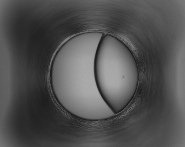 X0000095670948200801291134