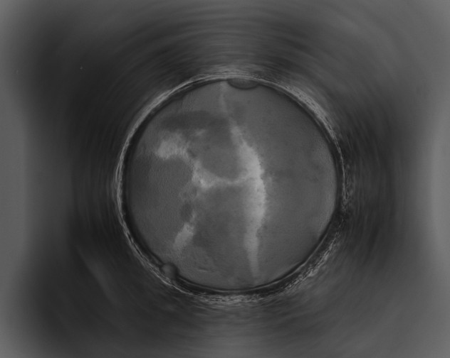 X0000095670949200801291134