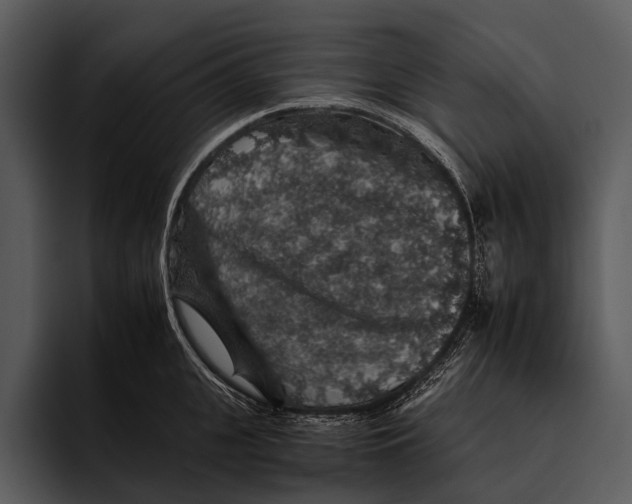 X0000095670951200801291134