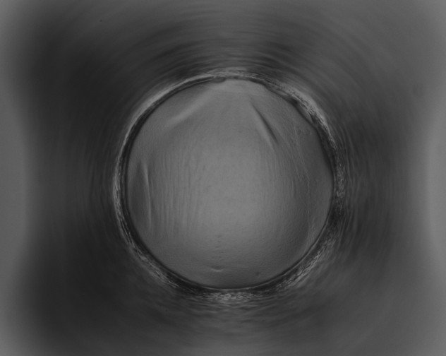 X0000095670952200801291134