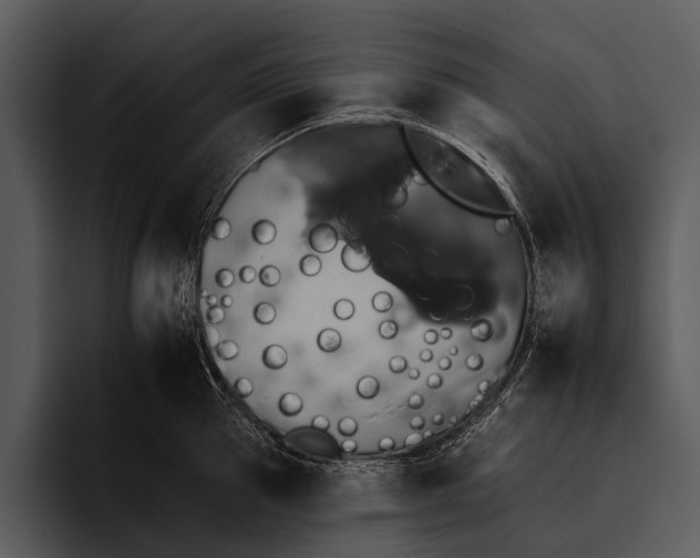 X0000095670953200801291134